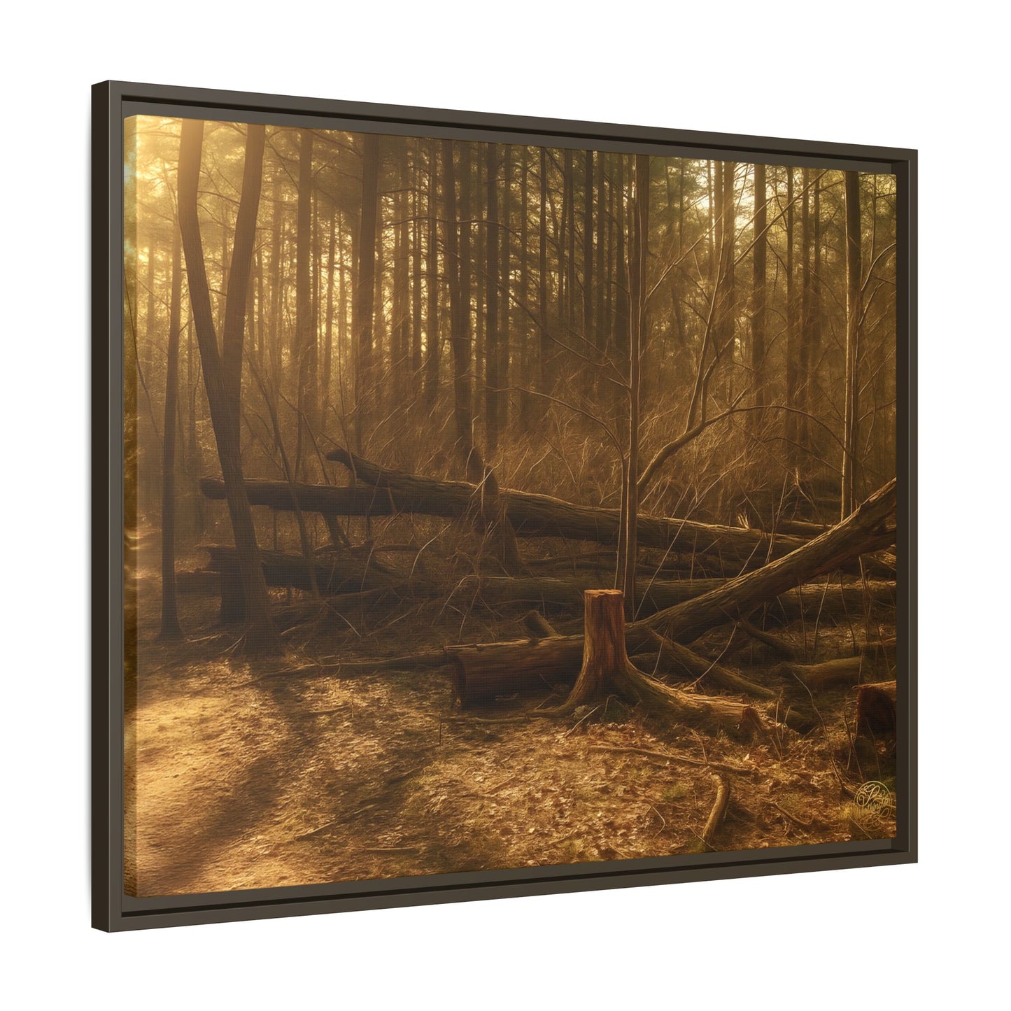 Framed Matte Canvas Art Print, Nature Wall Decor, Rustic Home Decor, Cozy Living Room Art, Gift for Nature Lovers, Forest Landscape