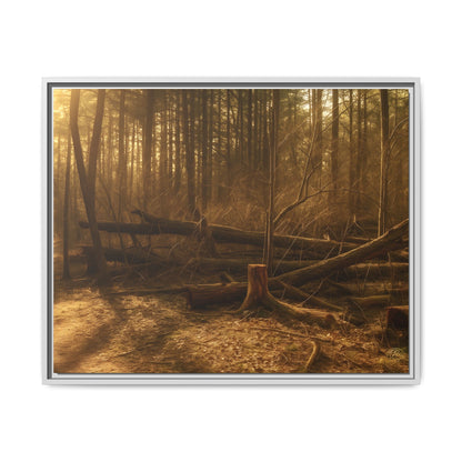 Framed Matte Canvas Art Print, Nature Wall Decor, Rustic Home Decor, Cozy Living Room Art, Gift for Nature Lovers, Forest Landscape